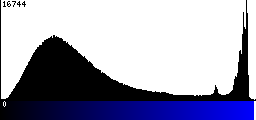 Blue Histogram