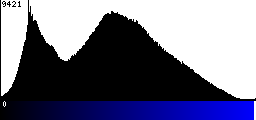 Blue Histogram