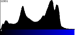 Blue Histogram