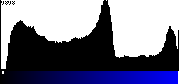 Blue Histogram