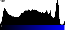 Blue Histogram