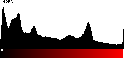 Red Histogram