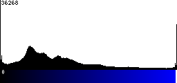 Blue Histogram