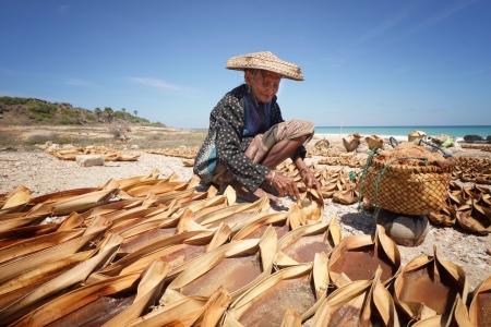 Petani Garam Tradisional