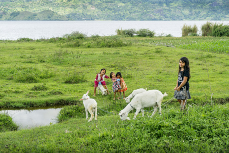 Keceriaan Anak-anak Danau Toba