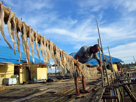 "Potensi Dibalik Pantai Tenggayun Bengkalis".