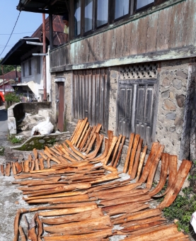 Petani Menunggu Kulit Manis Kering