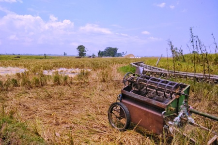 Mesin Perontok Padi