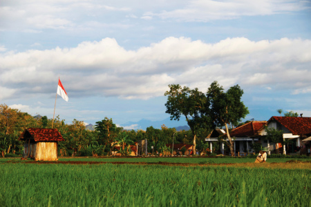 Rumah berteduh di sawah ( gubuk )