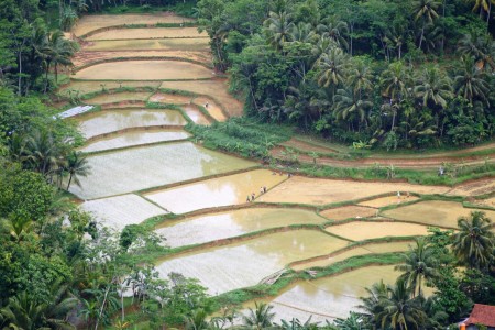 Sebuah desa agraris di kaki bukit Hud.