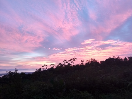 Senja di ladangku