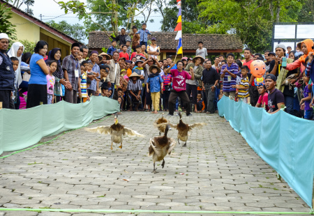 Balap Bebek Bentisan