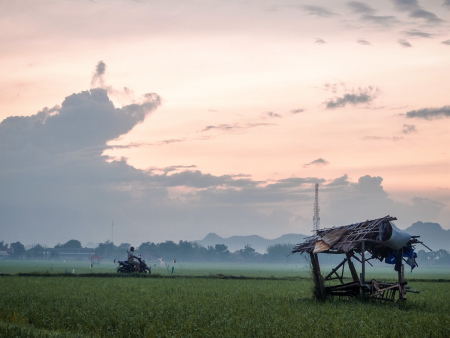 Petani pupuk