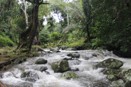 sungai bebatuan yang segar