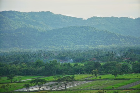 Tanah yang subur