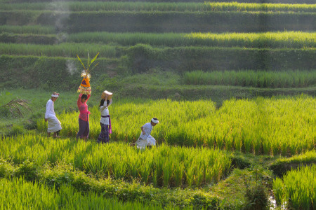 Peaceful Journey