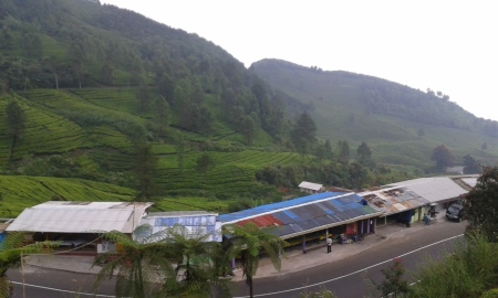 Jajaran Warung di Puncak