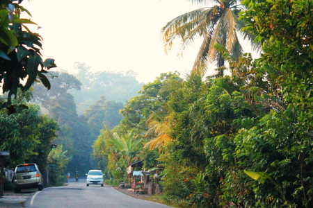 Mentari Pagi Di Sisi Kampung ku