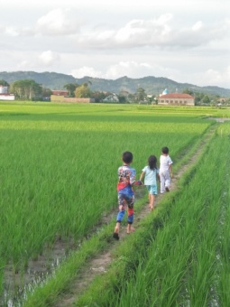 BERLIBUR DI SAWAH