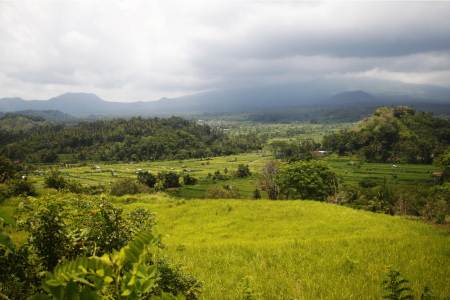 Pemandangan sawah dan gunung