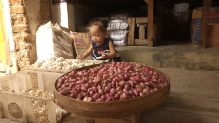 Bawang merah dan bawang putih