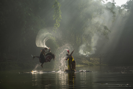 kuda kepang dan Ular Naga