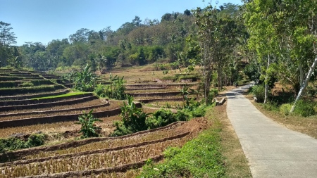 Jalan kehidupan