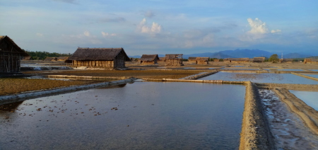 Ladang Petani garam kab.jeneponto