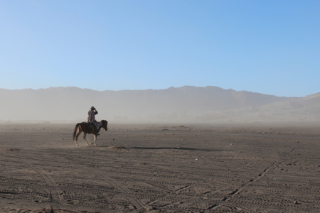 Penunggang Kuda Gunung Bromo