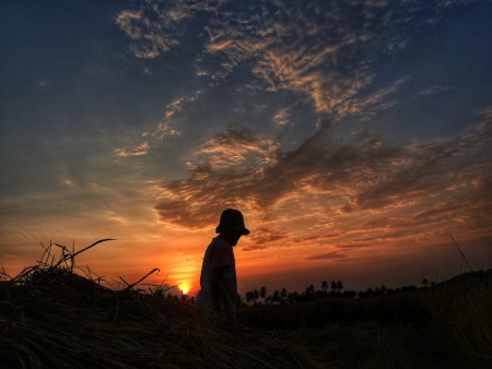 Senja setelah panen