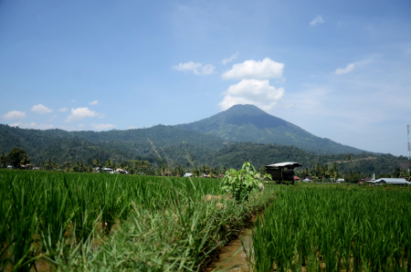 Dari sudut kampungku