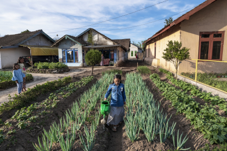 Menyiram Ladang di depan rumah