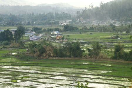 Kampungku Sejuk