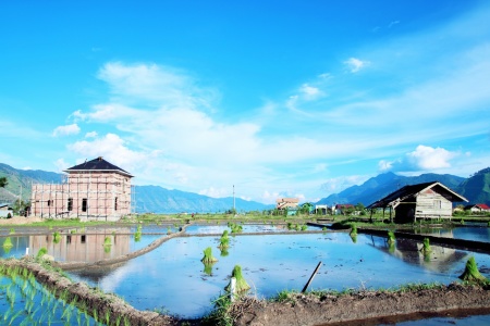 Rumah mewah dan gubuk sawah