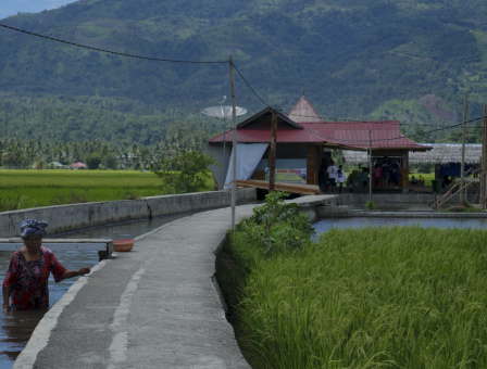 Mencari Keong