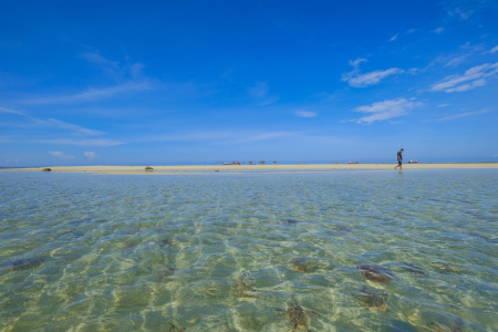 SEGAJAH ISLAND