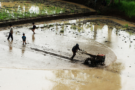 Persiapan ladang rejeki 2