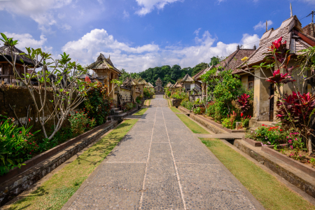 CLEAN HARMONY PANGLIPURAN