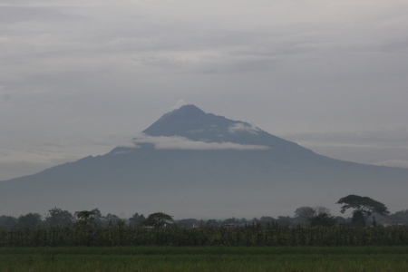 Merapi Menyapa Pagi