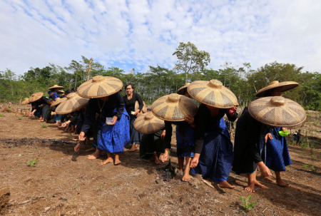 Menanam Padi Suku Baduy