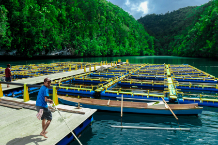 Aktivitas Nelayan Raja Ampat