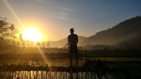 Sang surya menyapa.