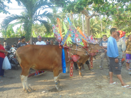 persiapan parade