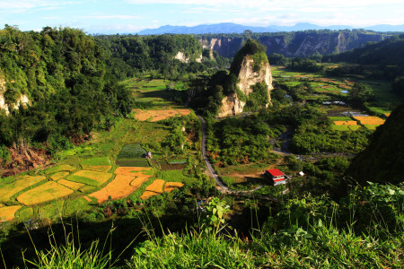 TEBING TERKURUNG AGAM