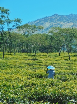 mencari apa yang dicari