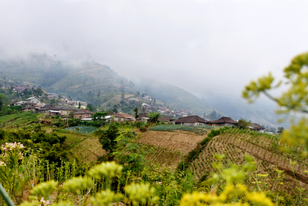 Negeri Di Atas Awan