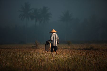 Balada seorang petani