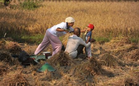 Keluarga Petani