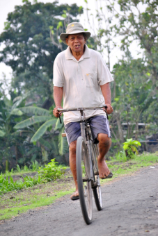 berangkat ke sawah