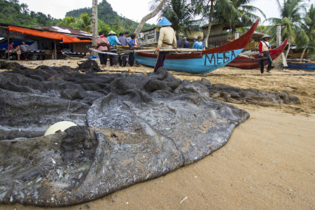 Kampung Nelayan Bungus